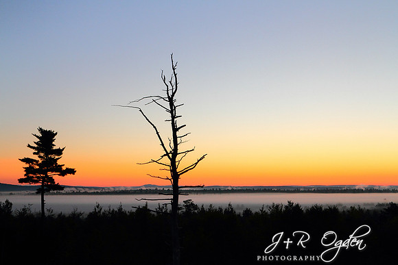 Foggy Sunrise
