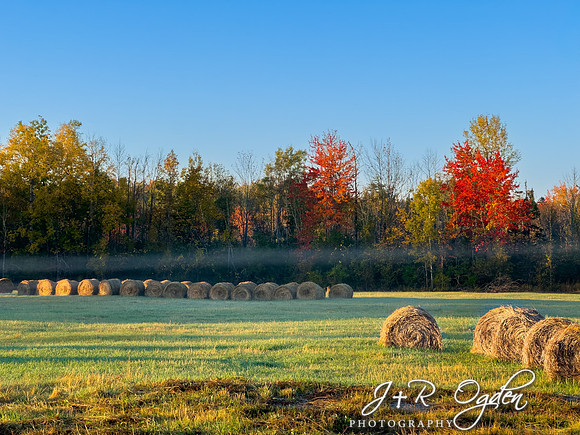 Autumn Morning Fog