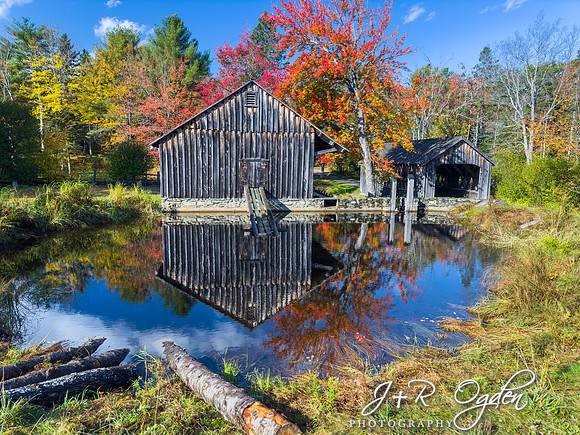 Leonard's Mills - Maine - Foliage