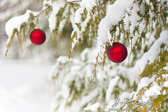 Christmas ornaments outside