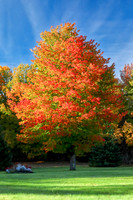 Autumn in Maine