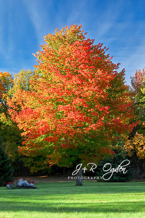 Autumn in Maine