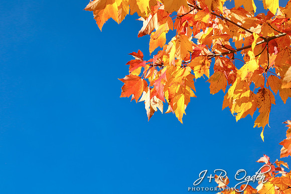 Autumn in Maine