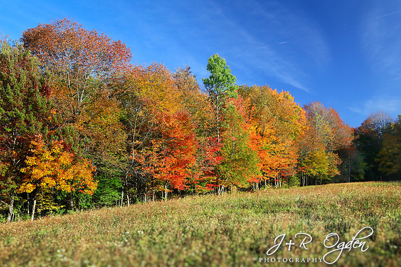 Autumn in Maine