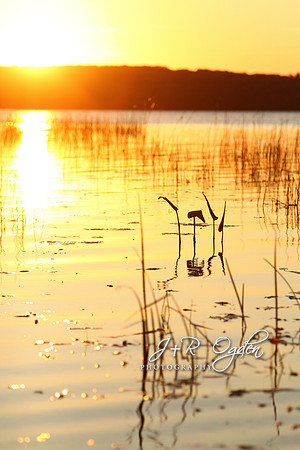 Sunset over Chemo Pond Maine
