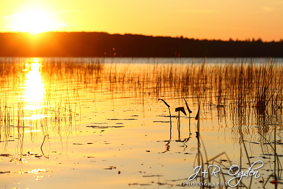 Sunset over Chemo Pond Maine