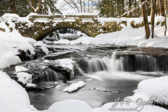 Vaughan Woods State Park Bridge in the Winter