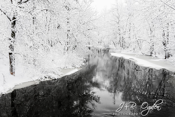 Snowy trees over a calm stream