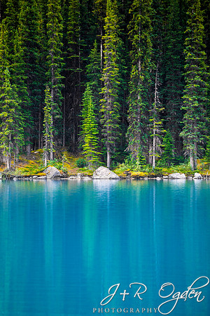 Reflections in the Water