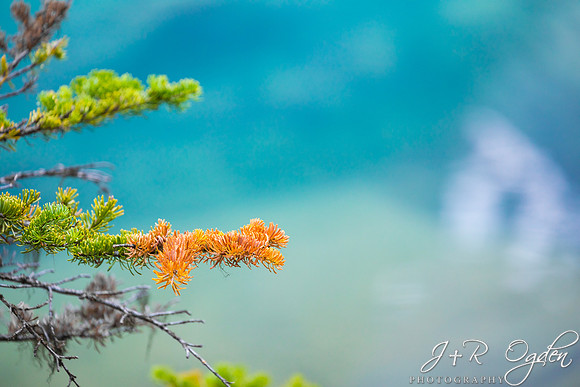 Emerald Water