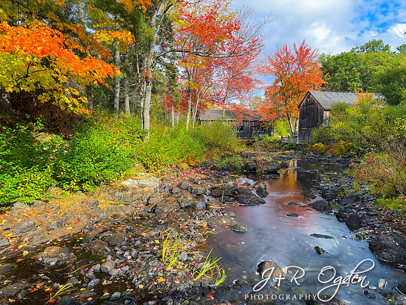 Leonard's Mills - Maine - Foliage