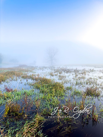 Foggy Autumn Morning