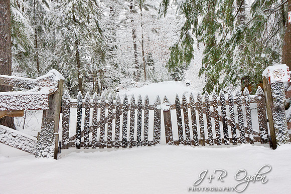 Snow covered gate
