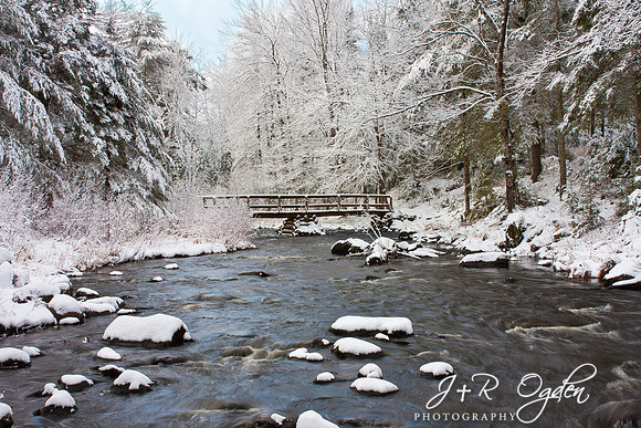Leonard's Mills Logging Mill Watermill